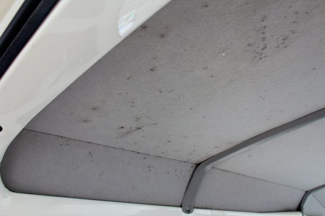 天井に付着したカビを車内クリーニング 車のお手入れ専門店 エコスタイル 熊本市東区
