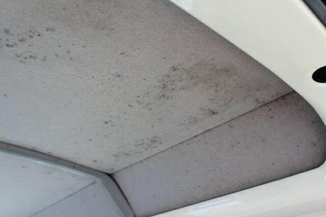 車内の天井に付着したカビを洗浄クリーニング